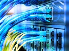 pp格斗有什么规则介绍